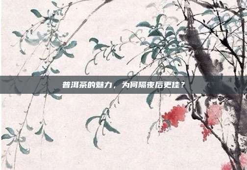 普洱茶的魅力，为何隔夜后更佳？