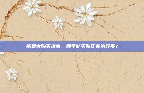 铁观音购买指南，哪里能买到正宗的好茶？