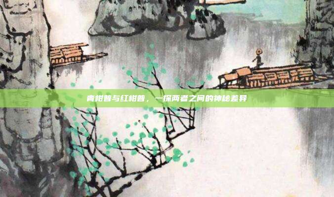 青柑普与红柑普，一探两者之间的神秘差异