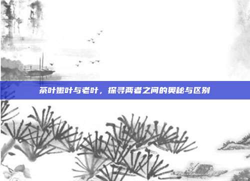 茶叶嫩叶与老叶，探寻两者之间的奥秘与区别