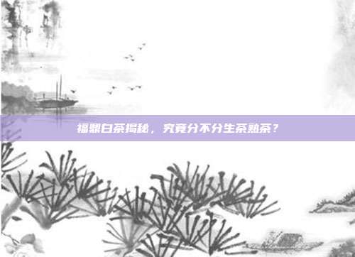 福鼎白茶揭秘，究竟分不分生茶熟茶？