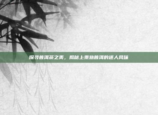 探寻普洱茶之美，揭秘上乘熟普洱的迷人风味
