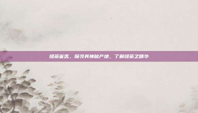 绿茶雀舌，探寻其神秘产地，了解绿茶之精华