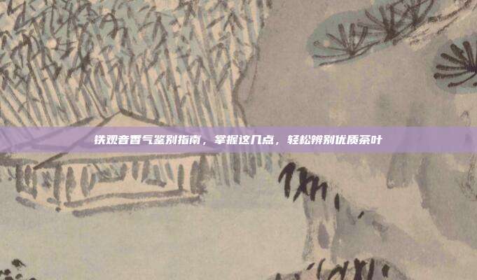 铁观音香气鉴别指南，掌握这几点，轻松辨别优质茶叶