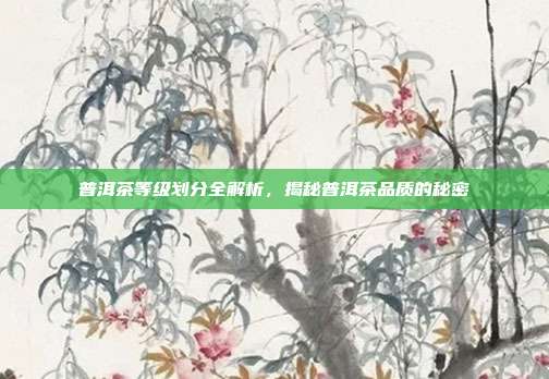 普洱茶等级划分全解析，揭秘普洱茶品质的秘密