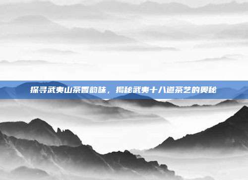 探寻武夷山茶香韵味，揭秘武夷十八道茶艺的奥秘