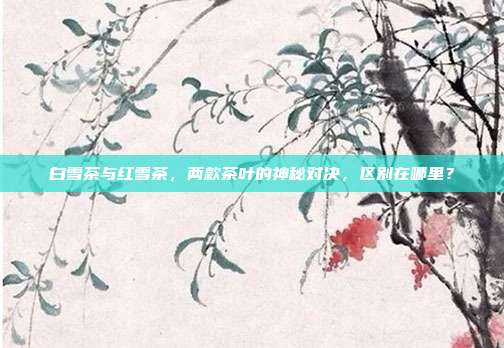 白雪茶与红雪茶，两款茶叶的神秘对决，区别在哪里？