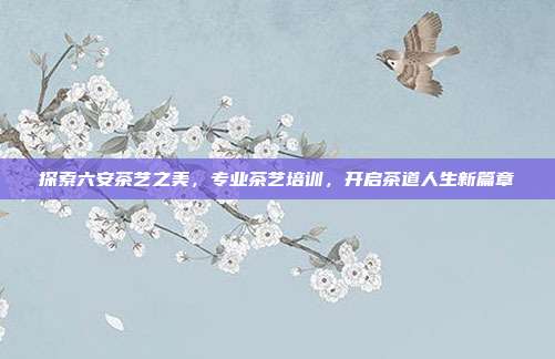 探索六安茶艺之美，专业茶艺培训，开启茶道人生新篇章