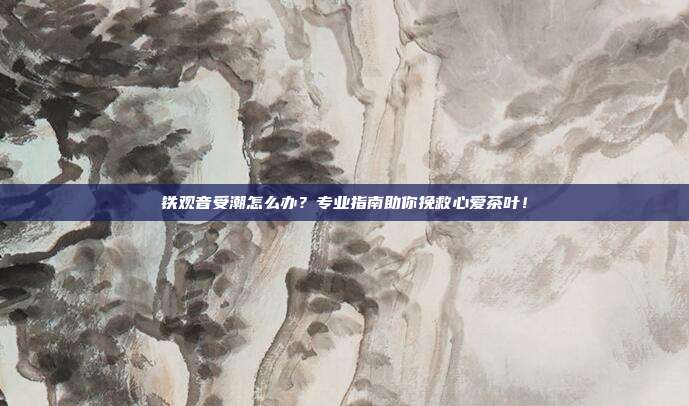 铁观音受潮怎么办？专业指南助你挽救心爱茶叶！