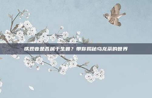 铁观音是否属于生普？带你揭秘乌龙茶的世界