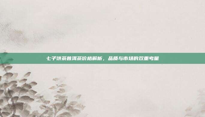 七子饼茶普洱茶价格解析，品质与市场的双重考量