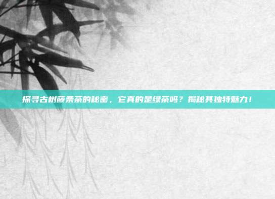 探寻古树藤条茶的秘密，它真的是绿茶吗？揭秘其独特魅力！