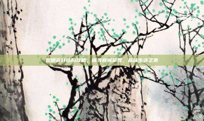 昆明茶叶选购攻略，探寻春城茶香，品味生活之美