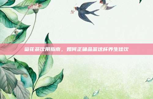 菊花茶饮用指南，如何正确品鉴这杯养生佳饮