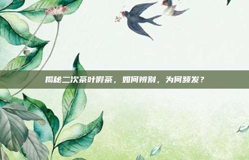 揭秘二次茶叶假茶，如何辨别，为何频发？