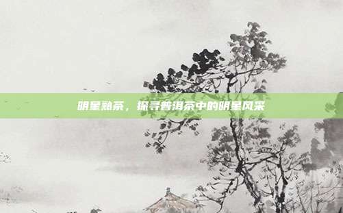 明星熟茶，探寻普洱茶中的明星风采