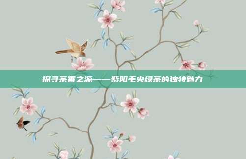 探寻茶香之源——紫阳毛尖绿茶的独特魅力