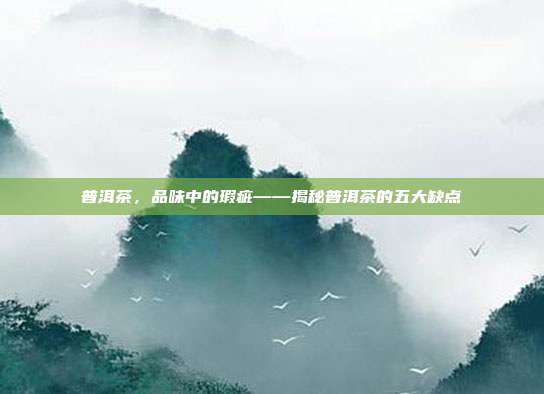 普洱茶，品味中的瑕疵——揭秘普洱茶的五大缺点
