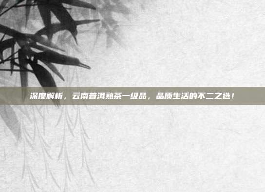 深度解析，云南普洱熟茶一级品，品质生活的不二之选！