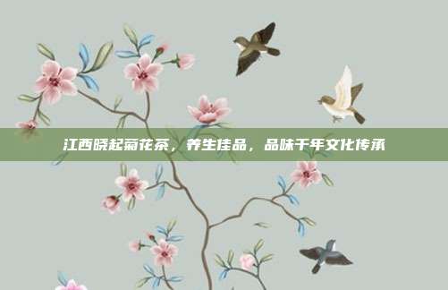 江西晓起菊花茶，养生佳品，品味千年文化传承