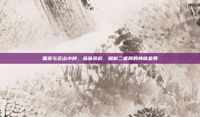 黑茶与正山小种，品味茶韵，探析二者间的神秘差异