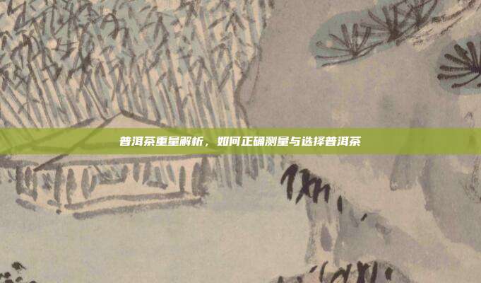 普洱茶重量解析，如何正确测量与选择普洱茶