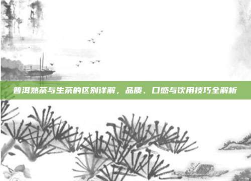 普洱熟茶与生茶的区别详解，品质、口感与饮用技巧全解析