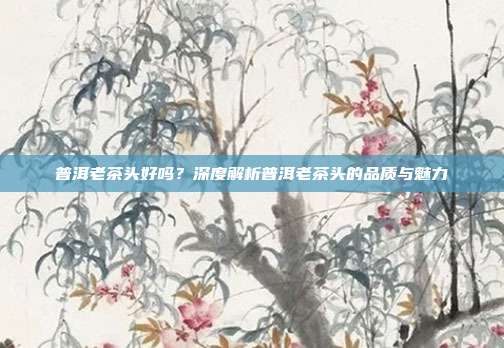 普洱老茶头好吗？深度解析普洱老茶头的品质与魅力