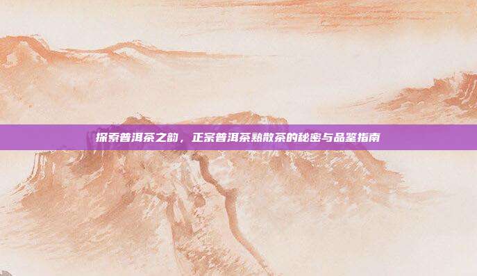 探索普洱茶之韵，正宗普洱茶熟散茶的秘密与品鉴指南