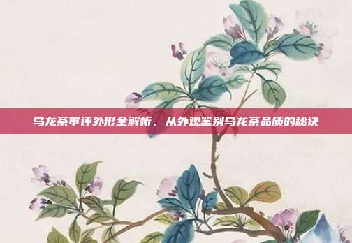 乌龙茶审评外形全解析，从外观鉴别乌龙茶品质的秘诀