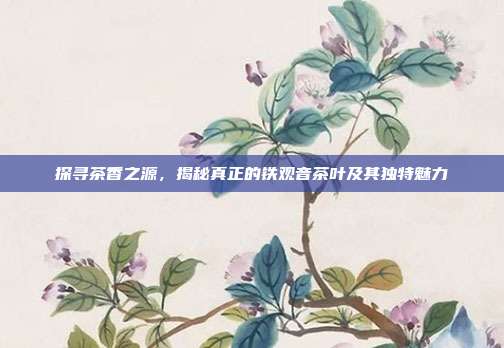探寻茶香之源，揭秘真正的铁观音茶叶及其独特魅力
