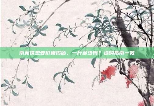 南苑铁观音价格揭秘，一斤多少钱？选购指南一览
