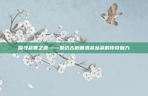 探寻茶香之源——景迈古树普洱茶熟茶的传奇魅力