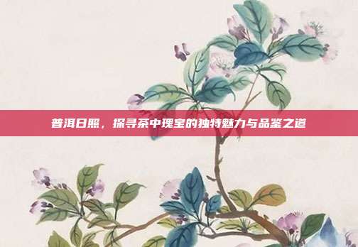 普洱日照，探寻茶中瑰宝的独特魅力与品鉴之道