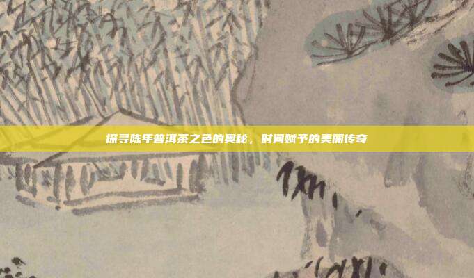 探寻陈年普洱茶之色的奥秘，时间赋予的美丽传奇