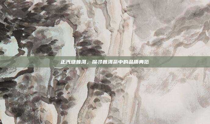 正汽塘普洱，探寻普洱茶中的品质典范