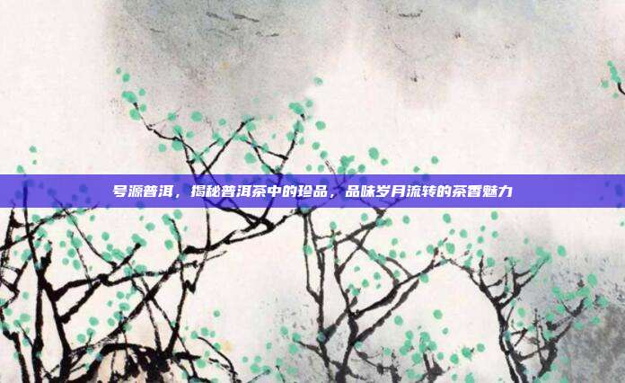 号源普洱，揭秘普洱茶中的珍品，品味岁月流转的茶香魅力