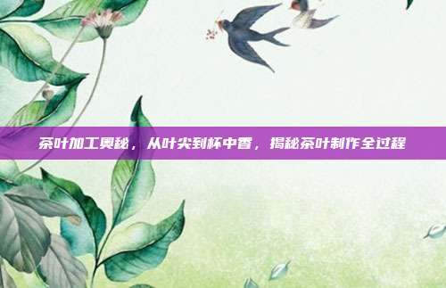 茶叶加工奥秘，从叶尖到杯中香，揭秘茶叶制作全过程