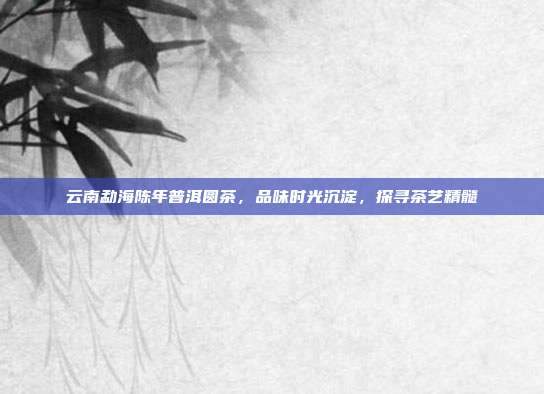 云南勐海陈年普洱圆茶，品味时光沉淀，探寻茶艺精髓