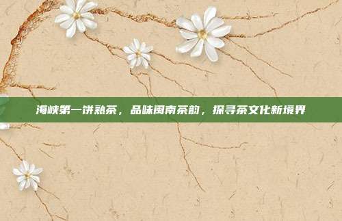 海峡第一饼熟茶，品味闽南茶韵，探寻茶文化新境界