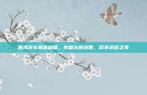 普洱茶去霉味秘籍，恢复古树茶香，尽享茶韵之美