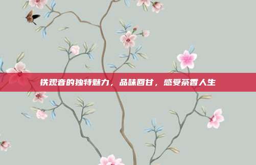 铁观音的独特魅力，品味回甘，感受茶香人生
