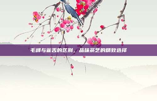 毛峰与雀舌的区别，品味茶艺的精致选择