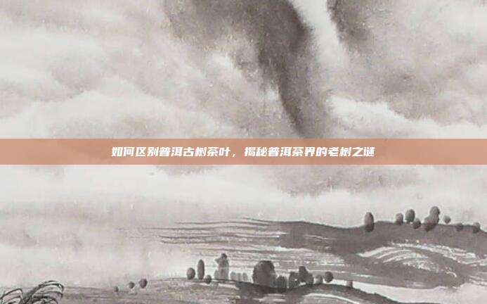 如何区别普洱古树茶叶，揭秘普洱茶界的老树之谜