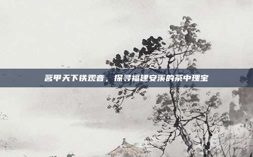 茗甲天下铁观音，探寻福建安溪的茶中瑰宝