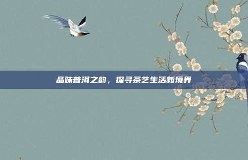 品味普洱之韵，探寻茶艺生活新境界
