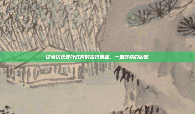 探寻铁观音叶底青的独特韵味，一壶好茶的秘密
