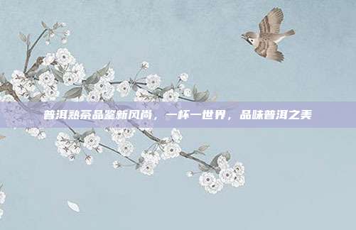 普洱熟茶品鉴新风尚，一杯一世界，品味普洱之美