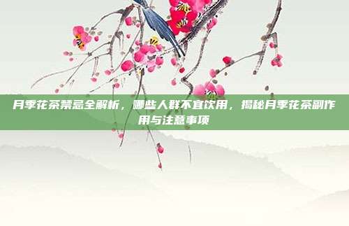 月季花茶禁忌全解析，哪些人群不宜饮用，揭秘月季花茶副作用与注意事项