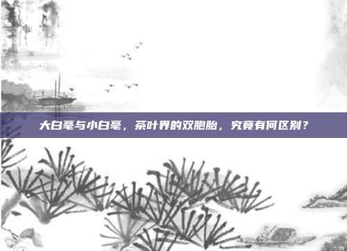 大白毫与小白毫，茶叶界的双胞胎，究竟有何区别？